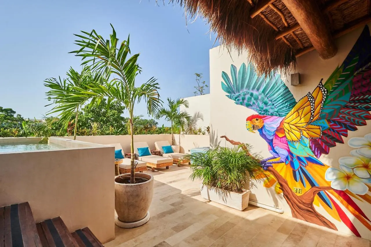 Spacious & Comfy Penthouse Oasis With Plunge Pool Tulum Daire