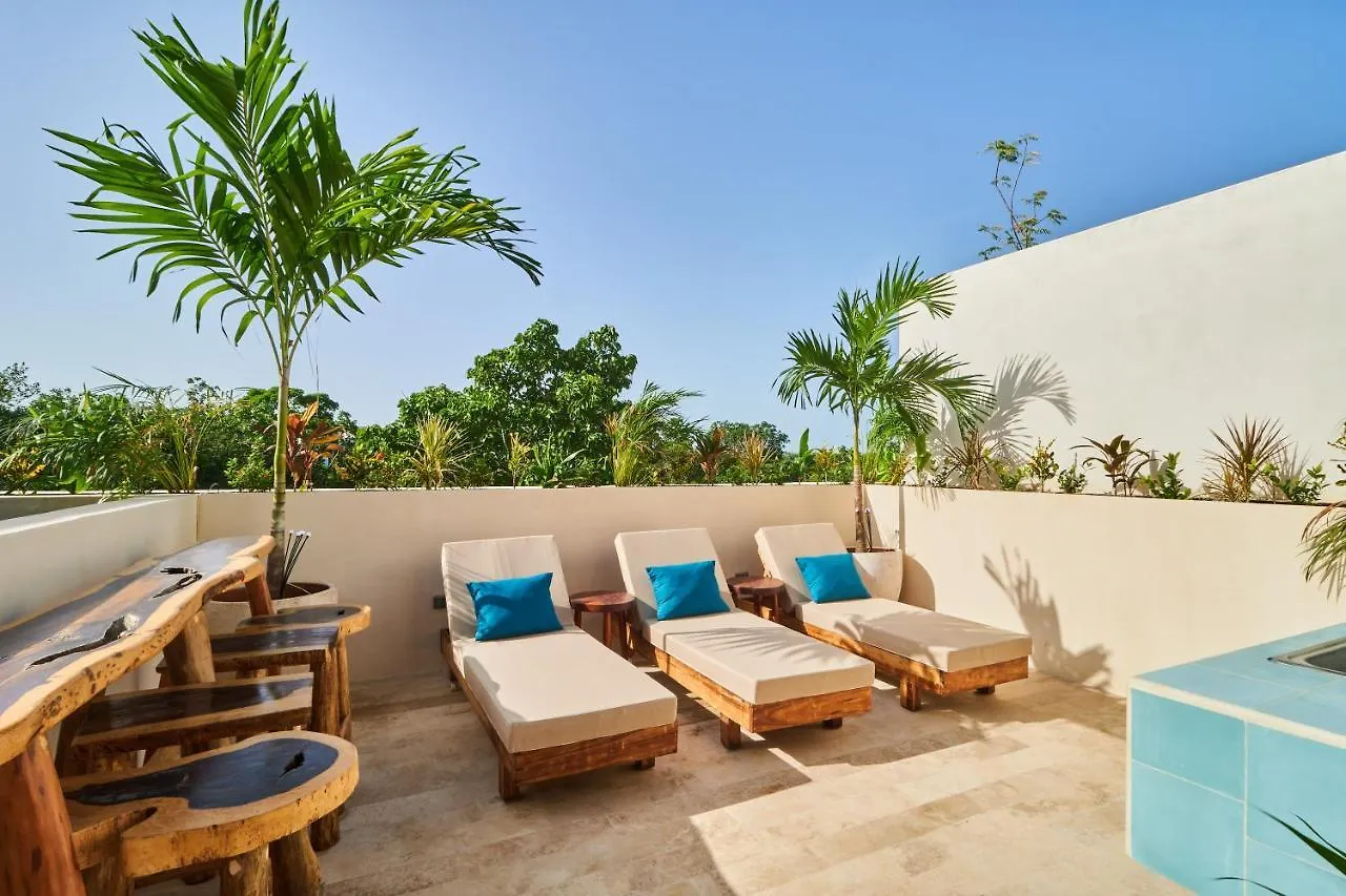 Spacious & Comfy Penthouse Oasis With Plunge Pool Tulum Daire