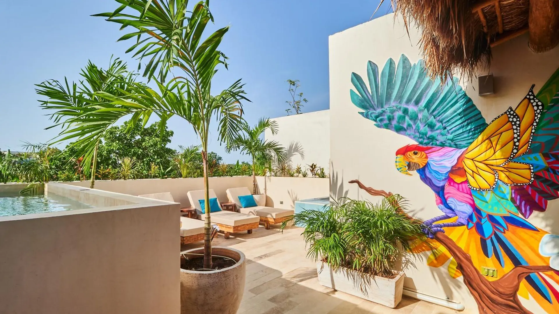 Spacious & Comfy Penthouse Oasis With Plunge Pool Tulum Daire