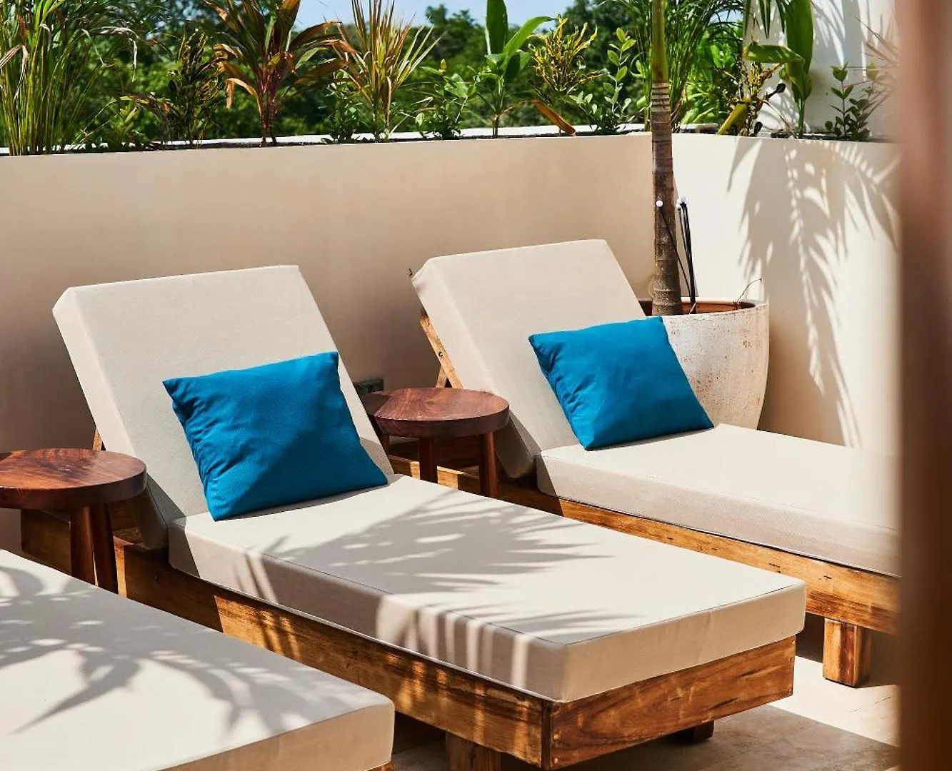 Spacious & Comfy Penthouse Oasis With Plunge Pool Tulum Daire