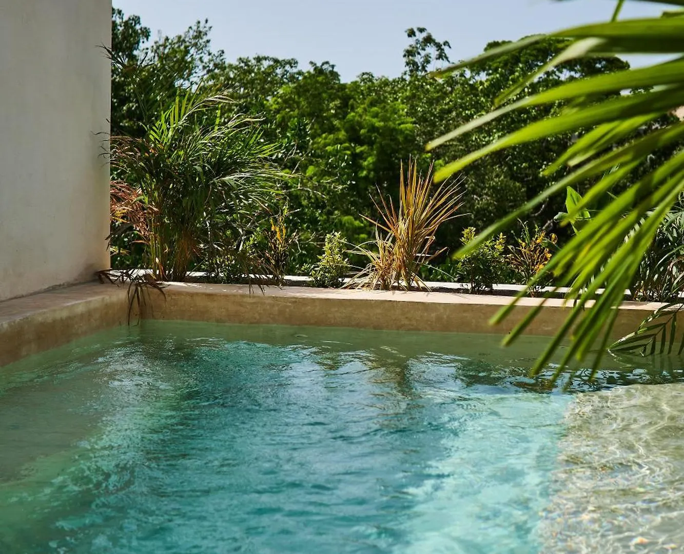 Spacious & Comfy Penthouse Oasis With Plunge Pool トゥルム アパート